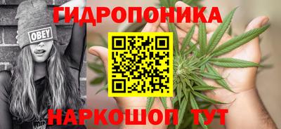 тгк Брянск